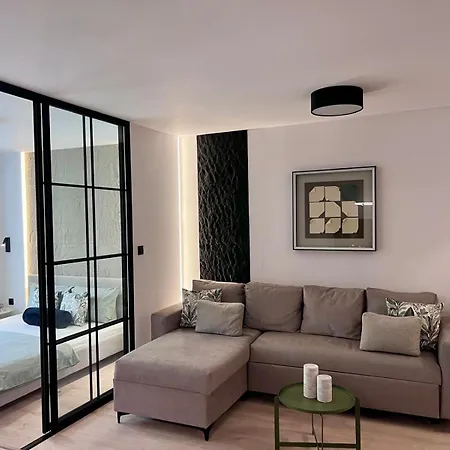 Olive Luxury Few Steps Away From The Sandy 公寓 圣弗拉斯