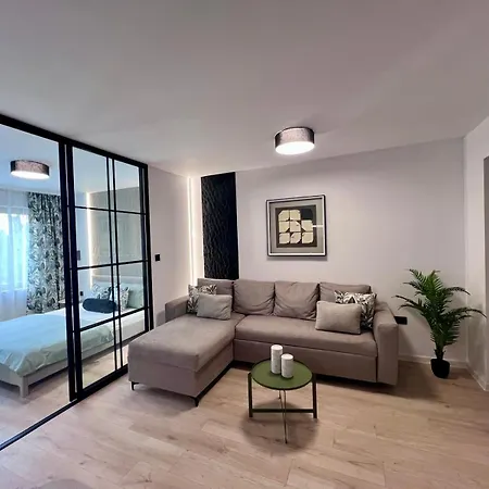 Olive Luxury Few Steps Away From The Sandy 公寓 圣弗拉斯