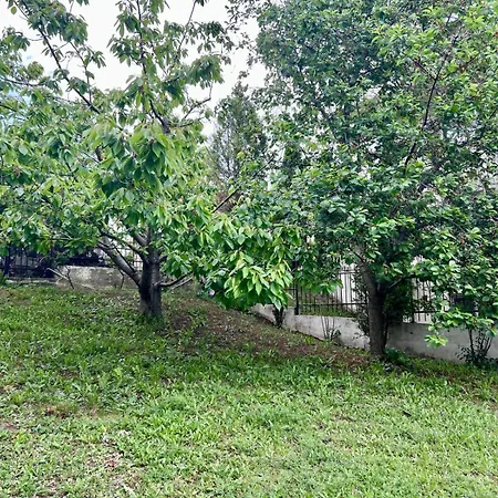 Olive Luxury Few Steps Away From The Sandy * 圣弗拉斯