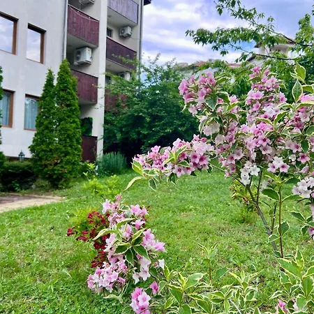 公寓 Olive Luxury Few Steps Away From The Sandy 圣弗拉斯